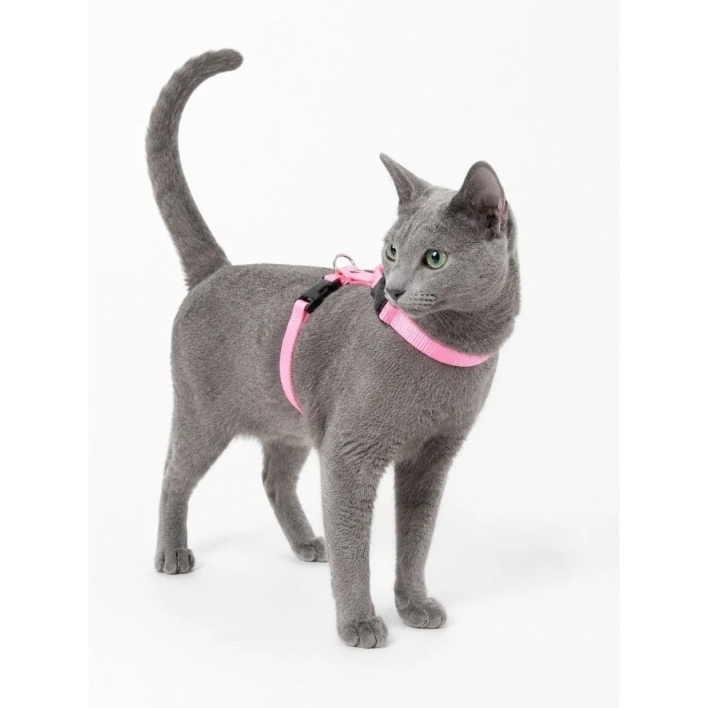 LUPINEPET Cat H-Style Harness 12-20
